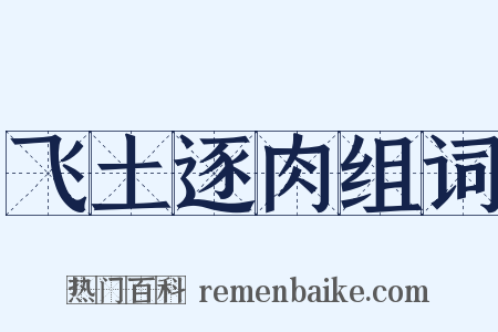 飞土逐肉组词是什么意思的图片